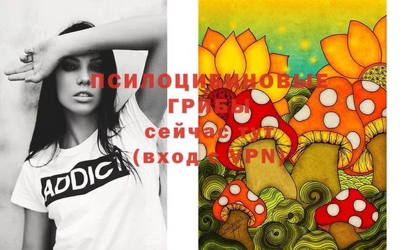 соль курить ск Сосновка