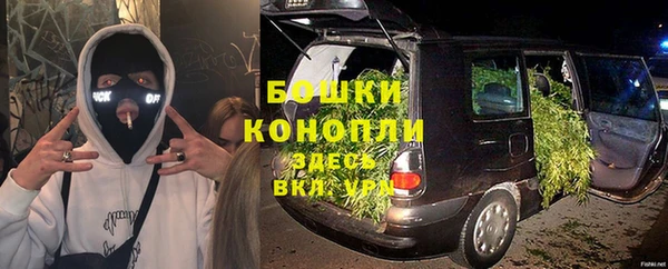 экстази Богданович