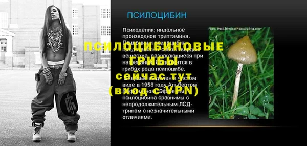 стафф Сосновый Бор