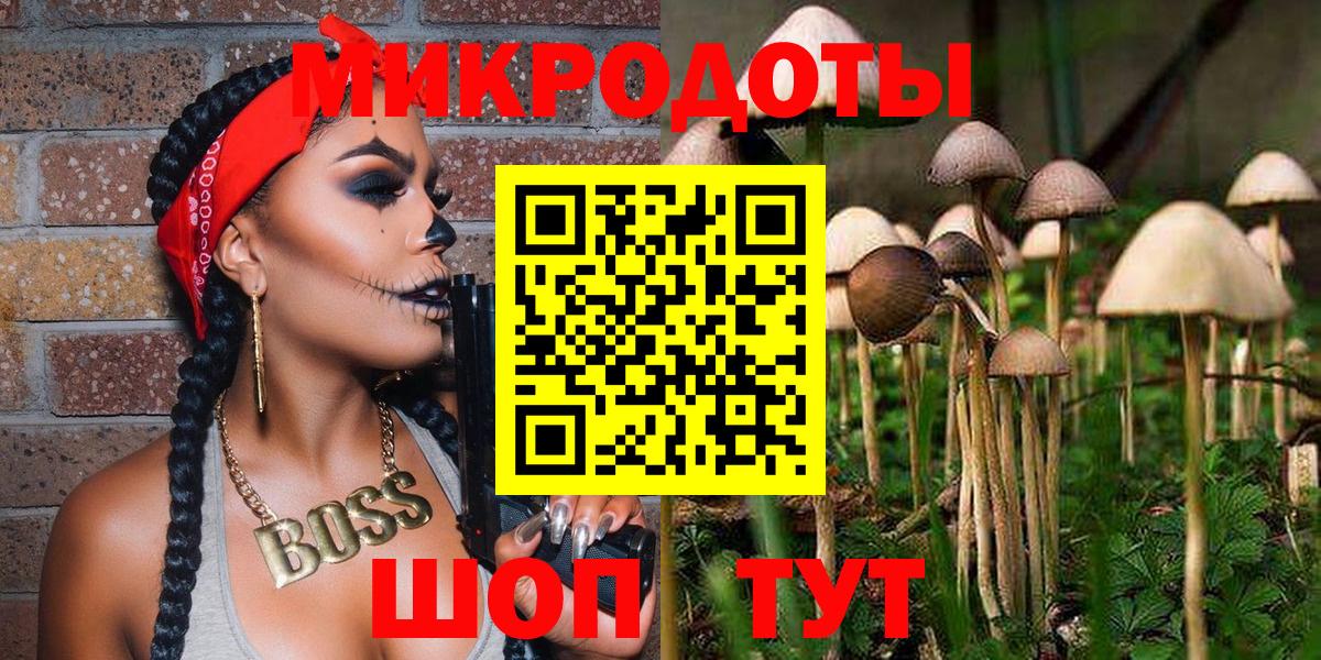 Галлюциногенные грибы MAGIC MUSHROOMS  купить наркотик  Губкинский  Вход с VPN 